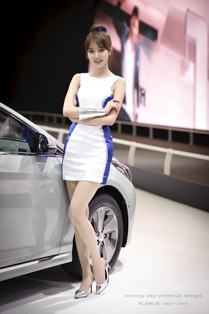 2020第六届中国（成都）国际新能源汽车及电动车展览会